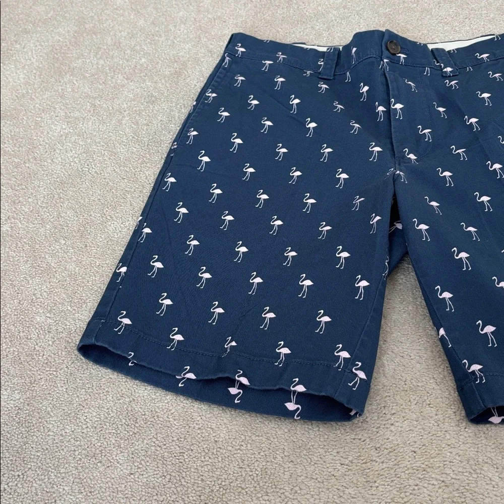 J. Crew Shorts